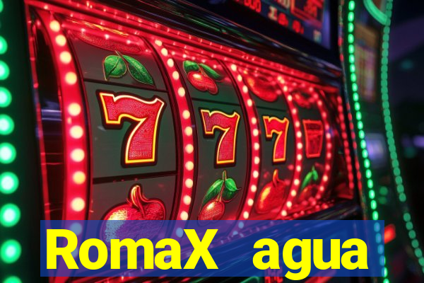 RomaX agua sanitaria fispq agua sanitaria romax