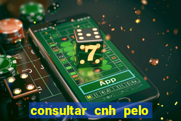 consultar cnh pelo cpf sp