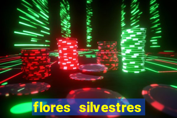 flores silvestres desbravadores desbravadores 25 flores silvestres e seus nomes