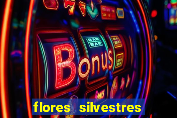 flores silvestres desbravadores desbravadores 25 flores silvestres e seus nomes