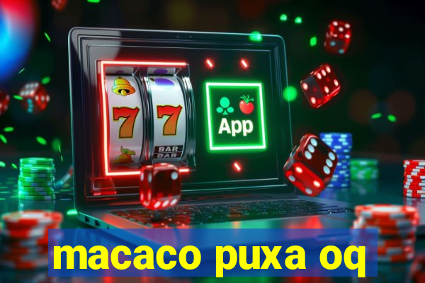 macaco puxa oq