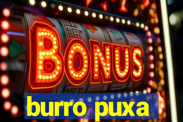 burro puxa