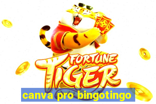 canva pro bingotingo