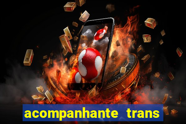 acompanhante trans porto seguro