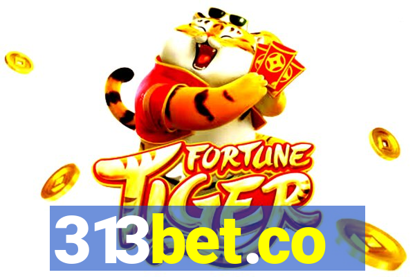 313bet.co