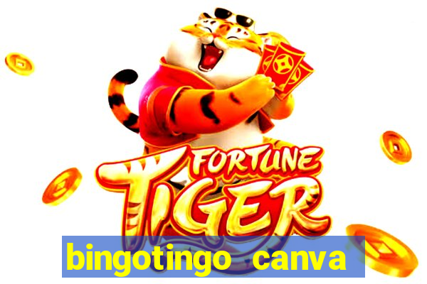 bingotingo canva pro gratis