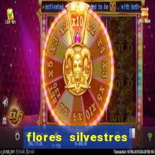 flores silvestres desbravadores desbravadores 25