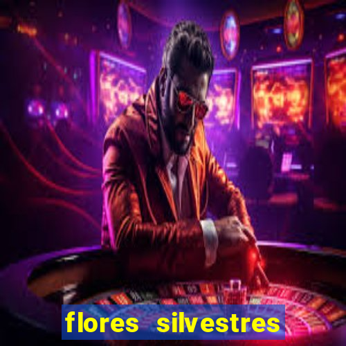 flores silvestres desbravadores desbravadores 25