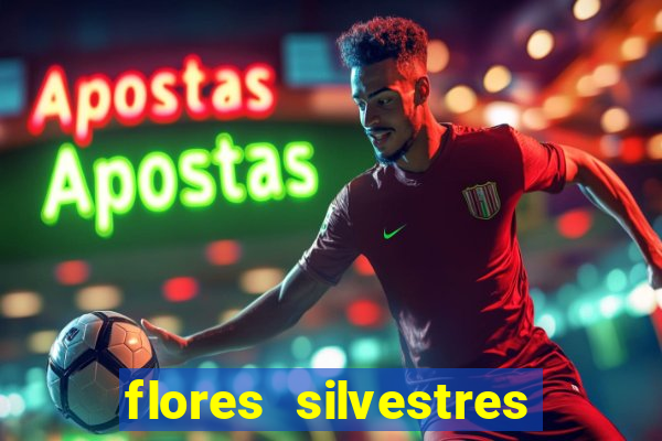 flores silvestres desbravadores desbravadores 25