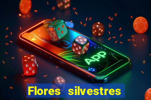 Flores silvestres brasileiras brasileiras flores silvestres nomes e imagens