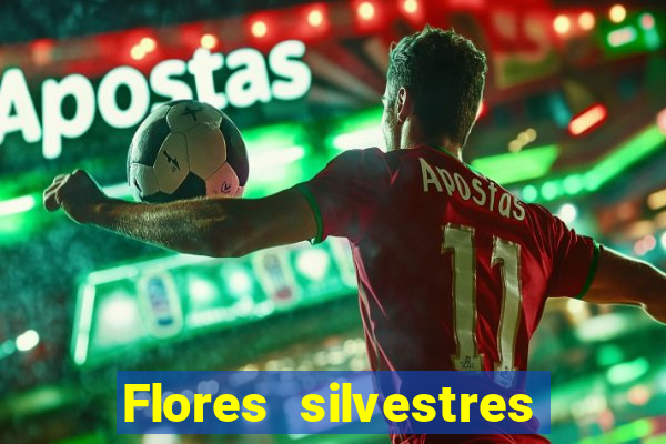 Flores silvestres brasileiras brasileiras flores silvestres nomes e imagens