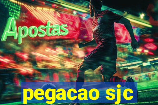 pegacao sjc