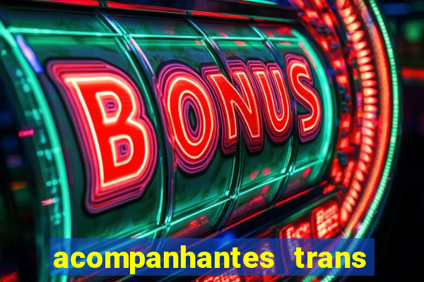 acompanhantes trans baixada fluminense