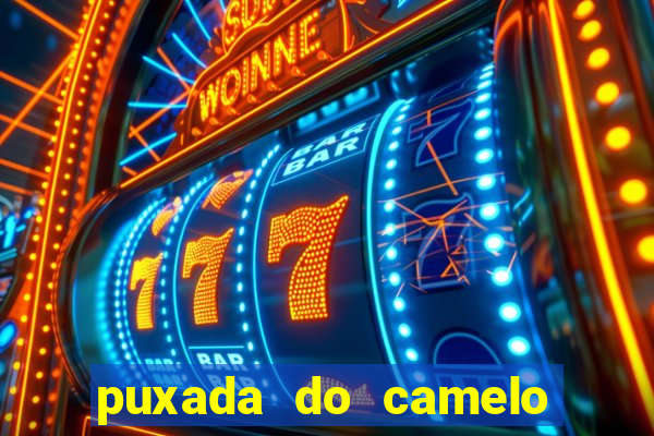 puxada do camelo no jogo do bicho