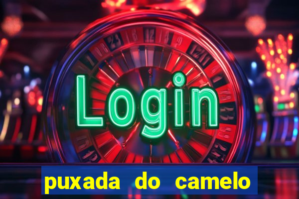 puxada do camelo no jogo do bicho