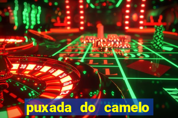 puxada do camelo no jogo do bicho