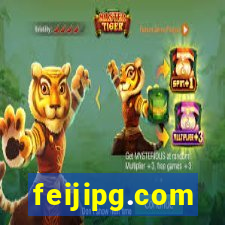 feijipg.com