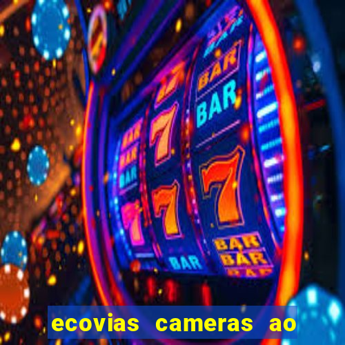 ecovias cameras ao vivo santos