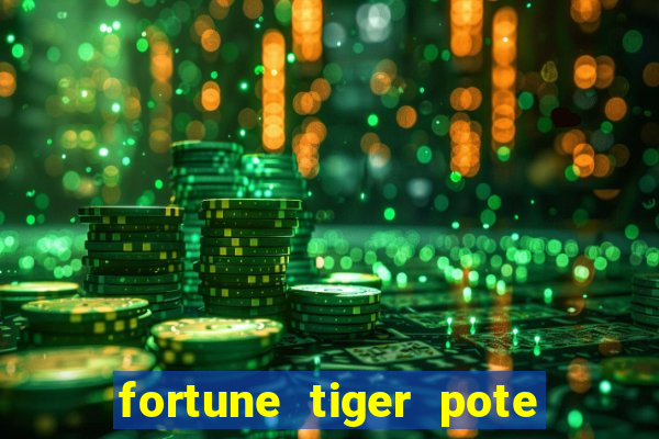 fortune tiger pote de ouro