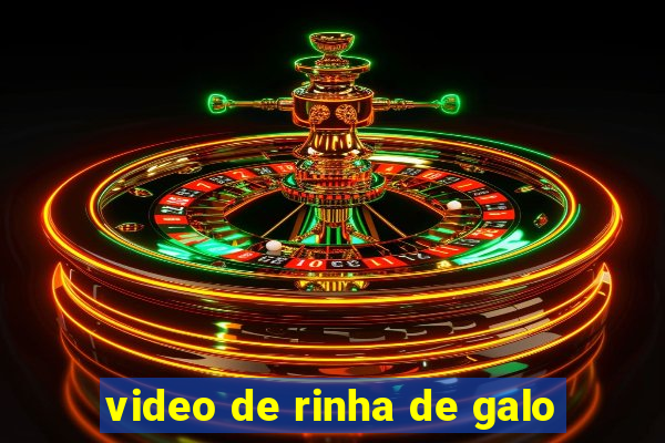 video de rinha de galo