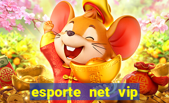 esporte net vip bet apostas