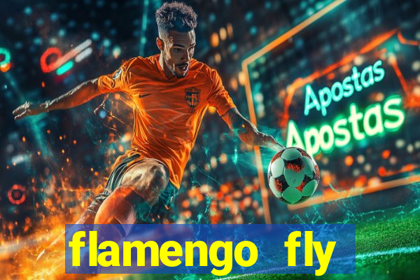 flamengo fly emirates ultimas noticias