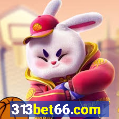 313bet66.com