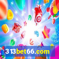 313bet66.com