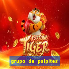 grupo de palpites de futebol telegram