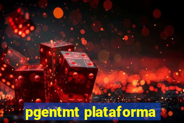 pgentmt plataforma