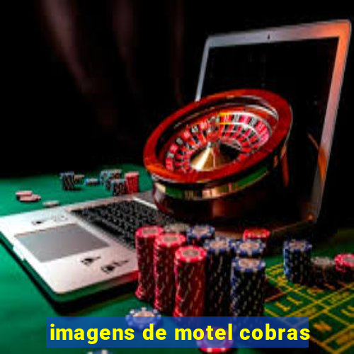 imagens de motel cobras