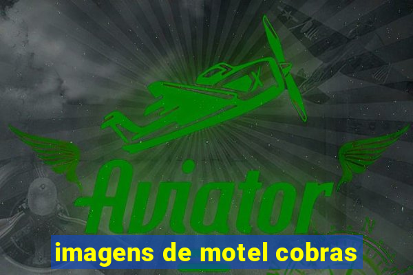 imagens de motel cobras