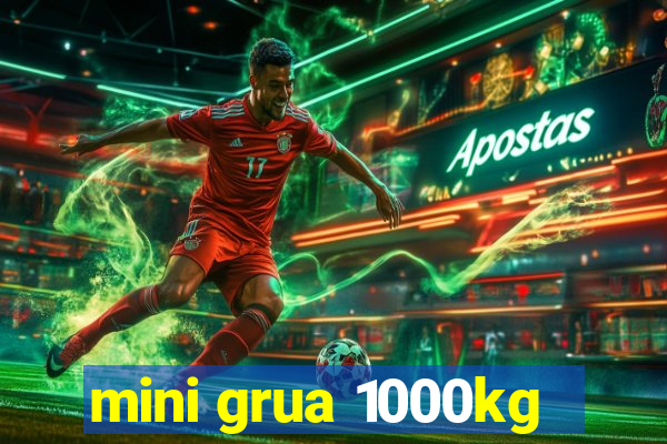 mini grua 1000kg