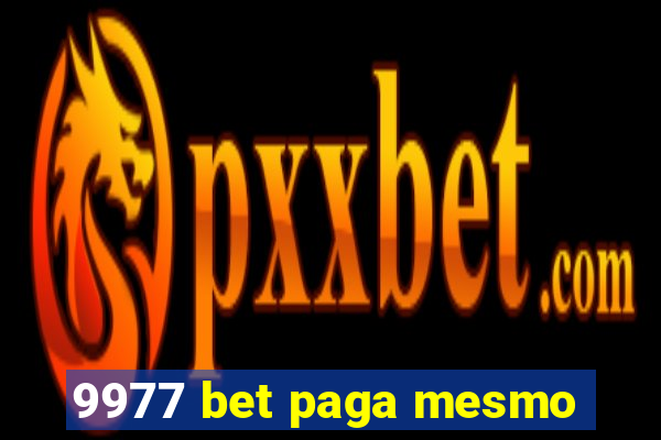 9977 bet paga mesmo