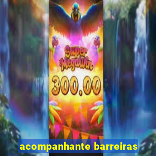 acompanhante barreiras