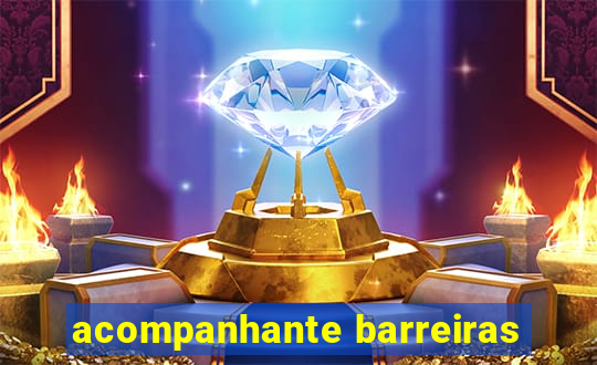 acompanhante barreiras