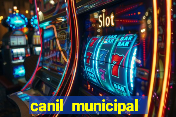 canil municipal porto alegre