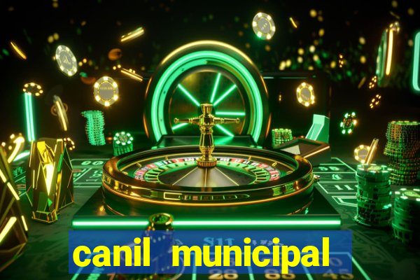 canil municipal porto alegre