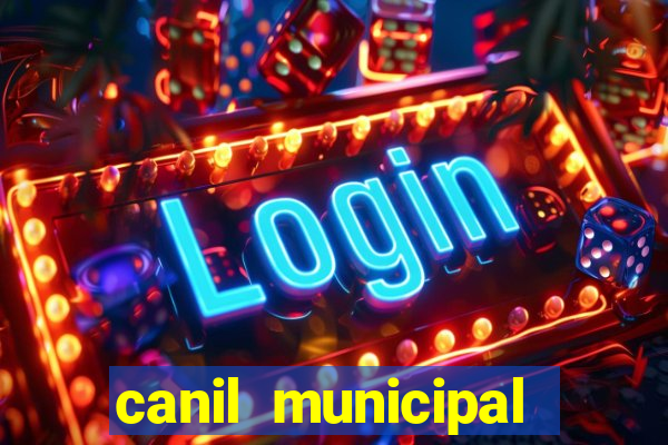 canil municipal porto alegre