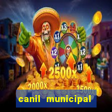 canil municipal porto alegre