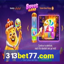 313bet77.com