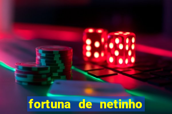 fortuna de netinho de paula