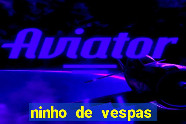 ninho de vespas significado espiritual