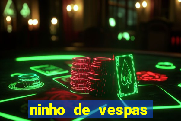 ninho de vespas significado espiritual