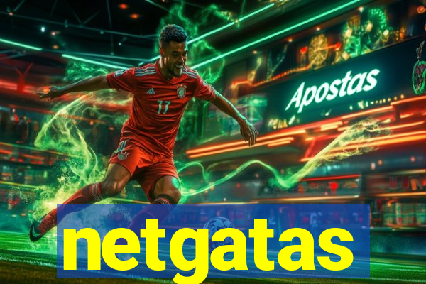 netgatas