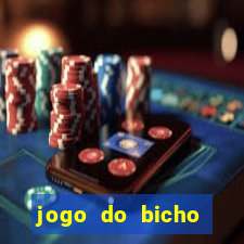 jogo do bicho documentario globoplay