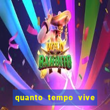 quanto tempo vive um passarinho bem-te-vi