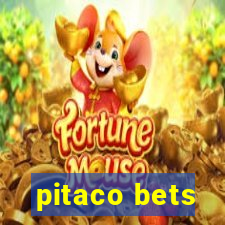 pitaco bets