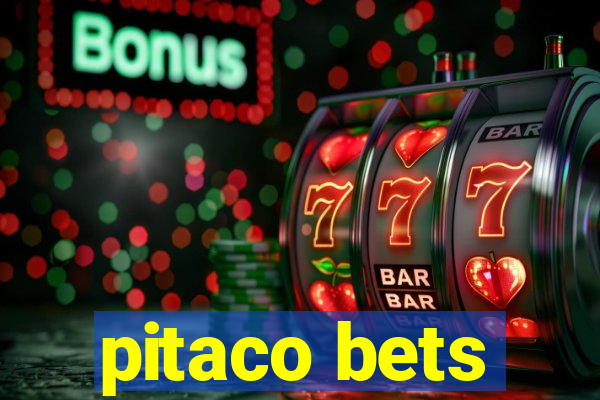 pitaco bets