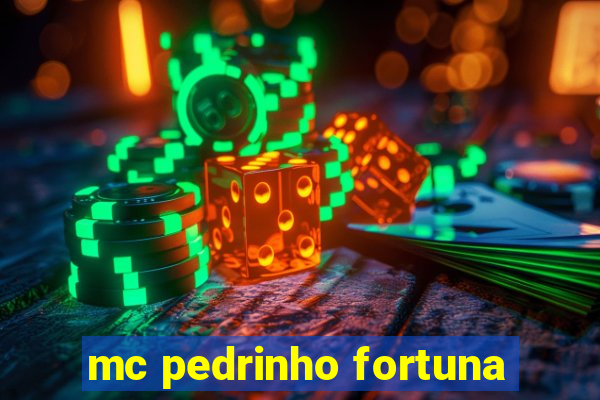 mc pedrinho fortuna